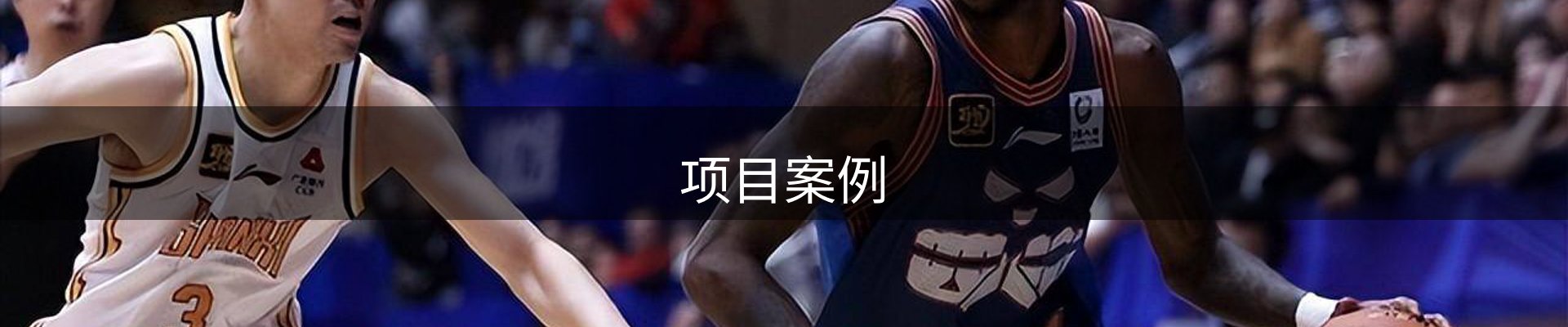 项目案例